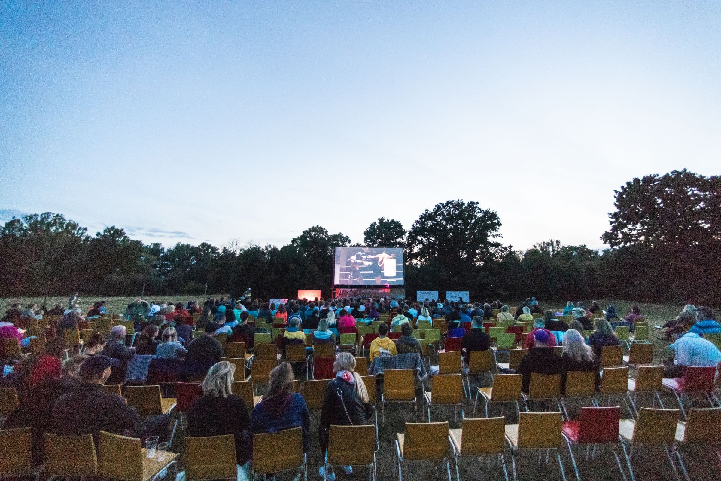 Big-Screen Sport